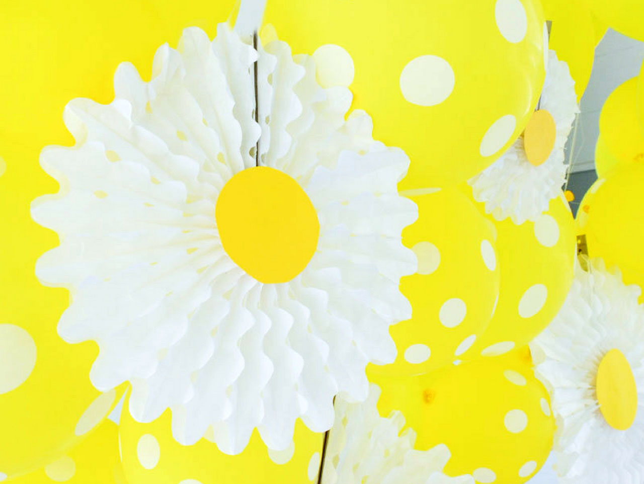 DIY Daisy Party Fans Fun365